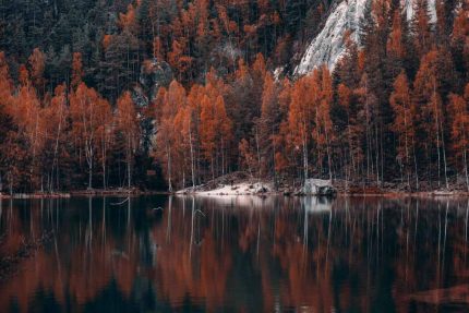 Autumn Reflections at Adršpach Lake Stock Image
