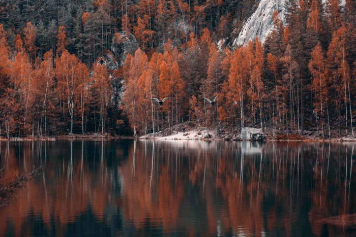 Autumn Reflections at Adršpach Lake Stock Image - Image 1
