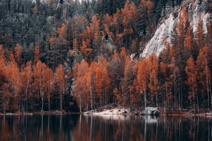 Autumn Reflections at Adršpach Lake Stock Image - Image 1