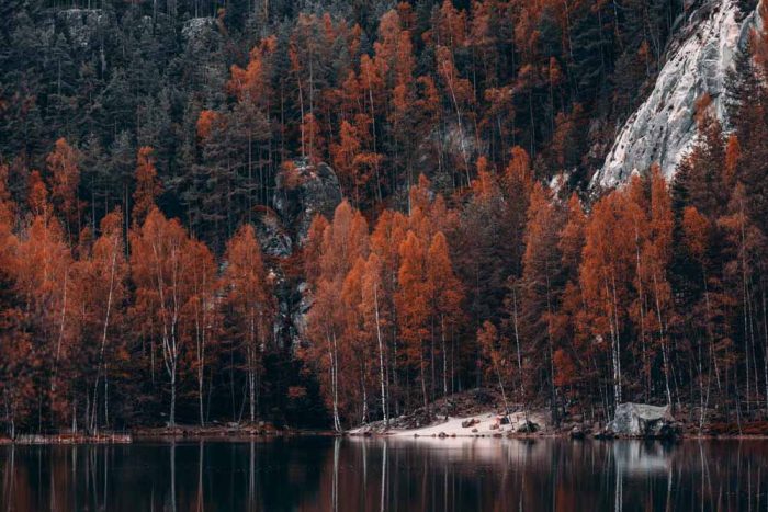 Autumn Reflections at Adršpach Lake Stock Image - Image 1