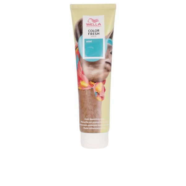 COLOR FRESH MASK Máscara de cor divertida #mint 150 ml