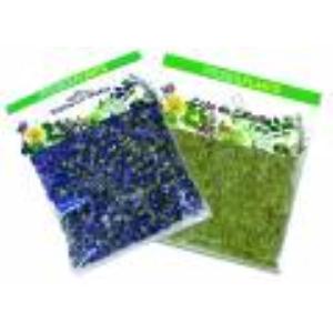 DENTE DE LEÃO 40gr.planta FITOSOL