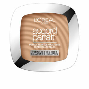ACCORD PARFAIT polvo fundente hyaluronic acid #3.D
